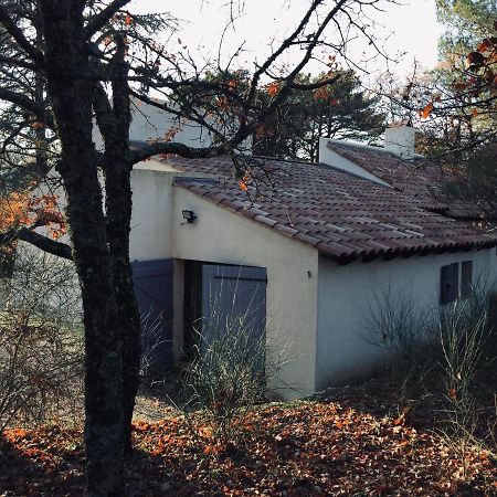 La Maison De Mado Et Sa Cabane Dans Les Arbres Plan d'Aups 外观 照片