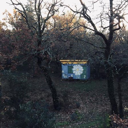 La Maison De Mado Et Sa Cabane Dans Les Arbres Plan d'Aups 外观 照片