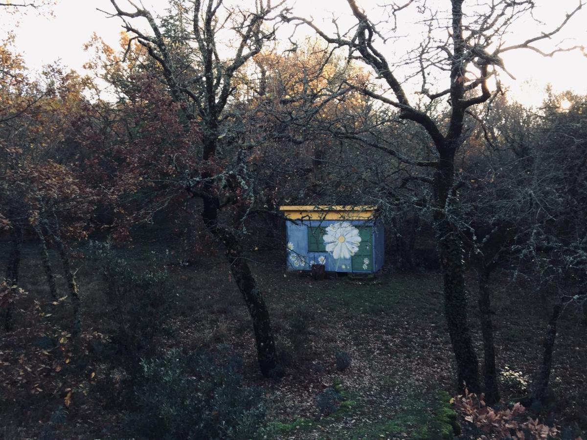La Maison De Mado Et Sa Cabane Dans Les Arbres Plan d'Aups 外观 照片