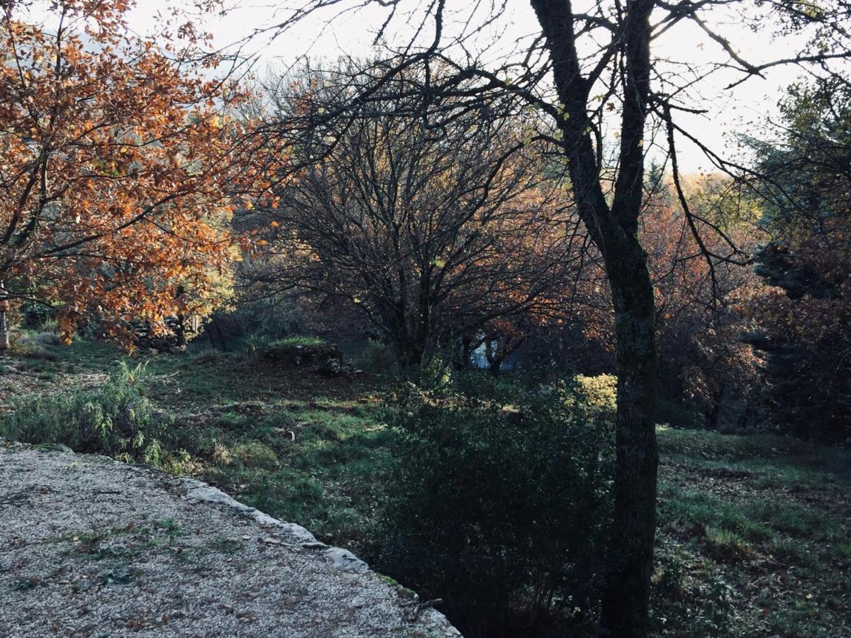 La Maison De Mado Et Sa Cabane Dans Les Arbres Plan d'Aups 外观 照片