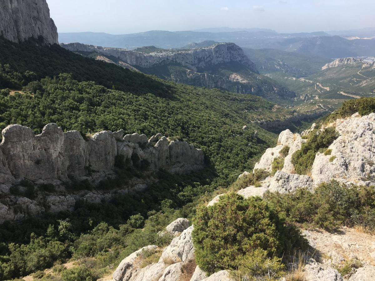 La Maison De Mado Et Sa Cabane Dans Les Arbres Plan d'Aups 外观 照片