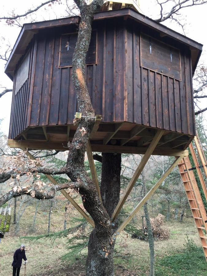 La Maison De Mado Et Sa Cabane Dans Les Arbres Plan d'Aups 外观 照片